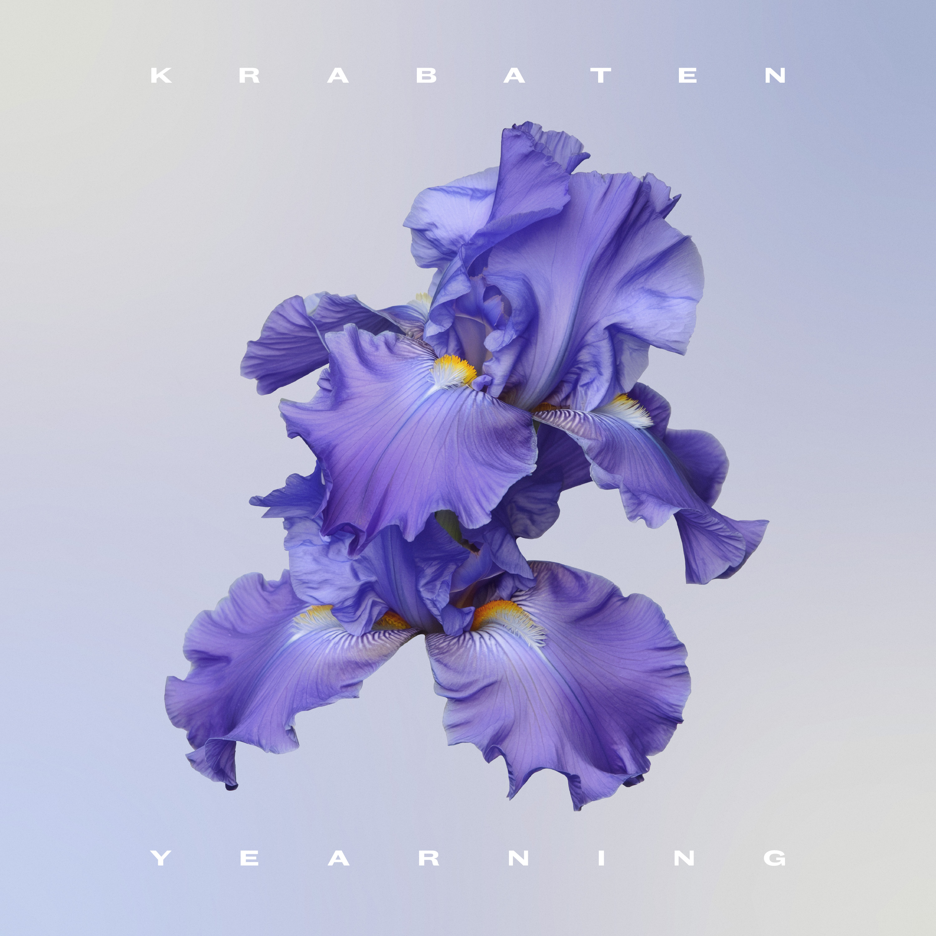 Krabaten - Yearning album artwork featuring purple iris flowers